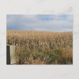 Autumn Corn Harvest Briefkaart