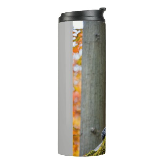 Autumn Curiosity: Monkeys at the Zoo in Fall Thermosbeker (Gedraaid links)