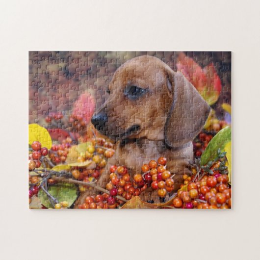 Autumn Dachshund Puppy Legpuzzel (Horizontaal)
