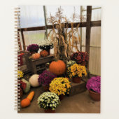 Autumn Decor (Devant)