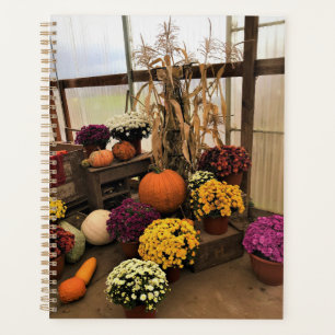 Autumn Decor