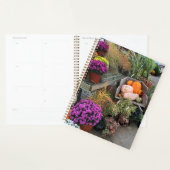 Autumn Decor (Devant avec enveloppe)