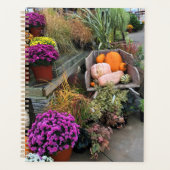 Autumn Decor (Devant)
