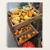 Autumn Decor (Devant)