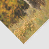 Autumn Deer Fawn Tissuepapier (Detail)