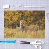 Autumn Deer Fawn Tissuepapier (Craft)