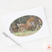 Autumn Deer in het Arrowadmeer GA Ovale Sticker (Envelop)