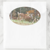 Autumn Deer in het Arrowadmeer GA Ovale Sticker (Tas)