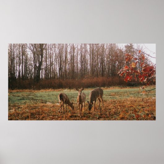 Autumn Deer Poster (Voorkant)