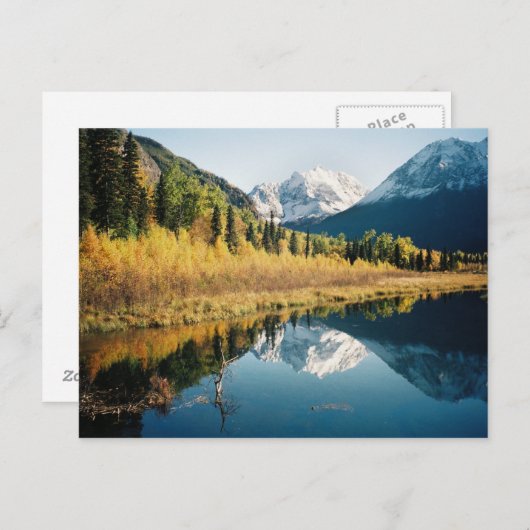 Autumn Eagle Briefkaart (Voorkant / Achterkant)