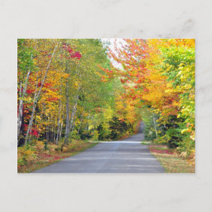 Autumn Fall Colors Road Quebec Canada Briefkaart