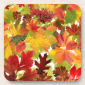 Autumn Fall Leaves Bier Onderzetter (Voorkant)