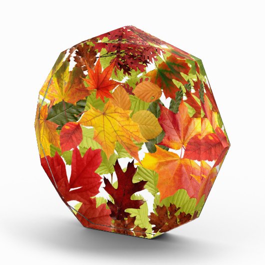 Autumn Fall Leaves Fotoblokken (Rechts)