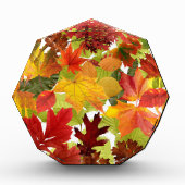 Autumn Fall Leaves Fotoblokken (Voorkant)