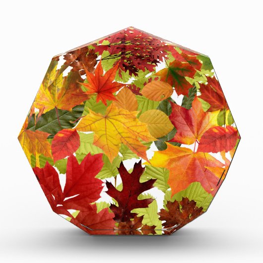 Autumn Fall Leaves Fotoblokken (Voorkant)