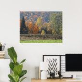 Autumn Field Adirondacks Trees Scene Landschap Poster (Thuiskantoor)