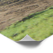 Autumn Field Adirondacks Trees Scene Landschap Poster (Hoek)