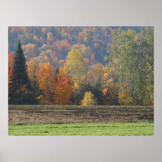 Autumn Field Adirondacks Trees Scene Landschap Poster (Voorkant)