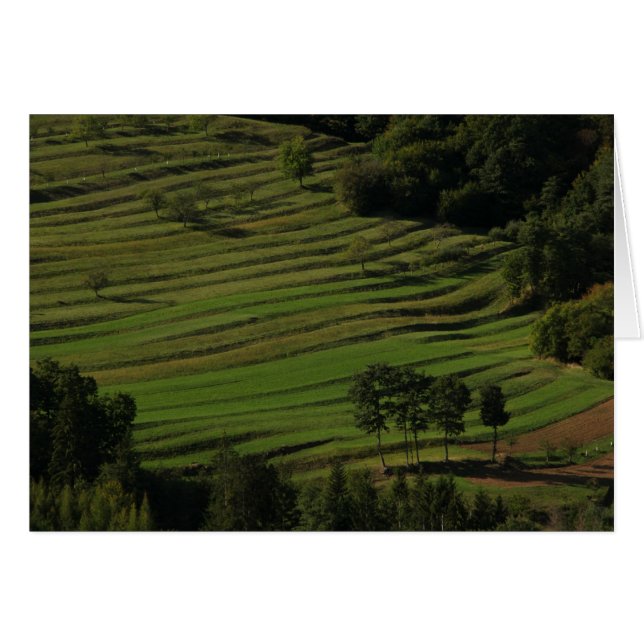 Autumn fields, Prem, Slovenië (Voorkant Horizontaal)