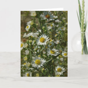 Autumn Flowers All Occasions Kaart