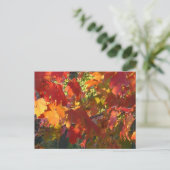 Autumn Foliage Briefkaart (Staand voorkant)