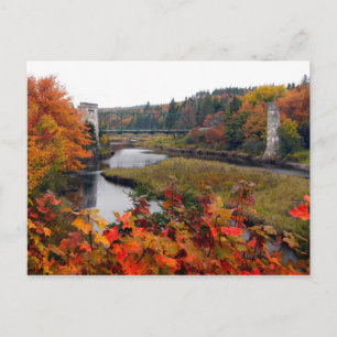 Autumn Foliage Briefkaart