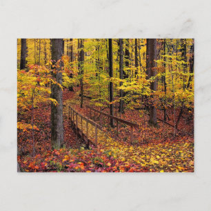 Autumn Footbridge, briefkaart