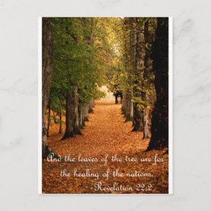 Autumn Forest Briefkaart