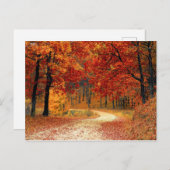 Autumn Forest Briefkaart (Voorkant / Achterkant)