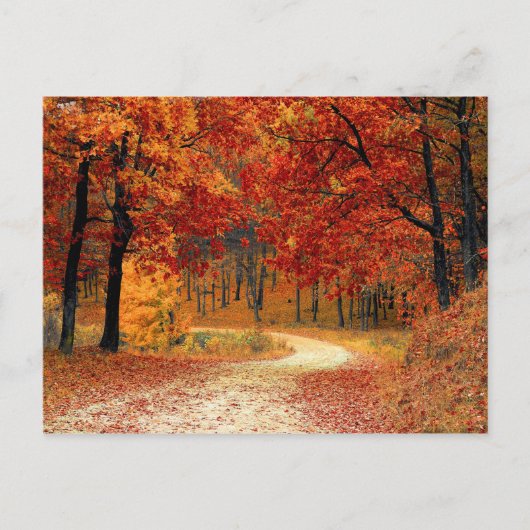 Autumn Forest Briefkaart (Voorkant)
