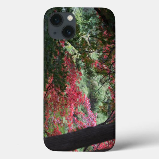 Autumn Forest Case-Mate iPhone Case (Achterkant)
