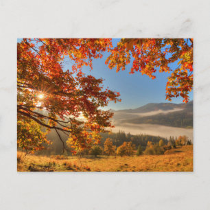 Autumn Forest in de bergen Briefkaart