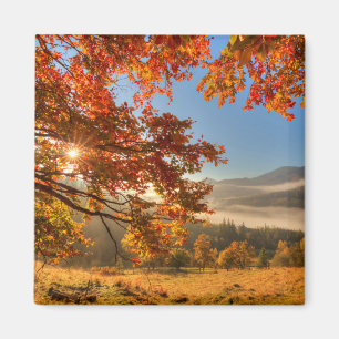 Autumn Forest in de bergen Magneet
