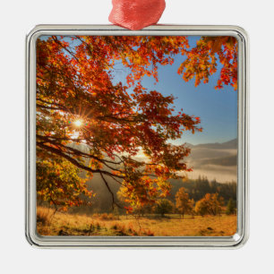 Autumn Forest in de bergen Metalen Ornament