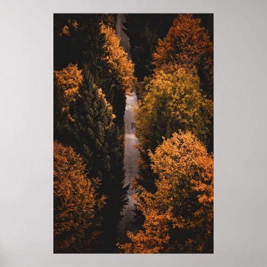 Autumn Forest Path Poster (Voorkant)