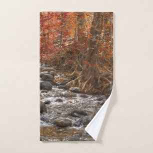 AUTUMN FOREST RIVER SEDONA ARIZONA