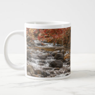 AUTUMN FOREST RIVER SEDONA ARIZONA EXTRA GROTE BEKER