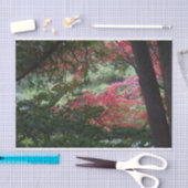 Autumn Forest Tissuepapier (Craft)