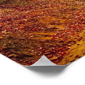 Autumn Forest Track Poster (Hoek)