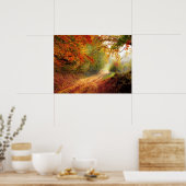 Autumn Forest Track Poster (Keuken)