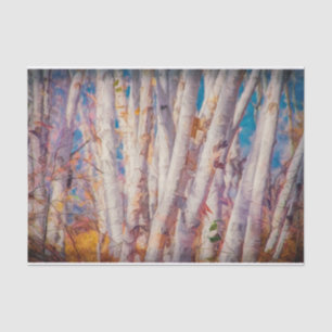 Autumn Forest White Birch Trees Tissuepapier