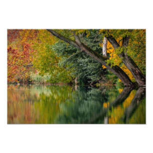 Autumn Foto Afdruk