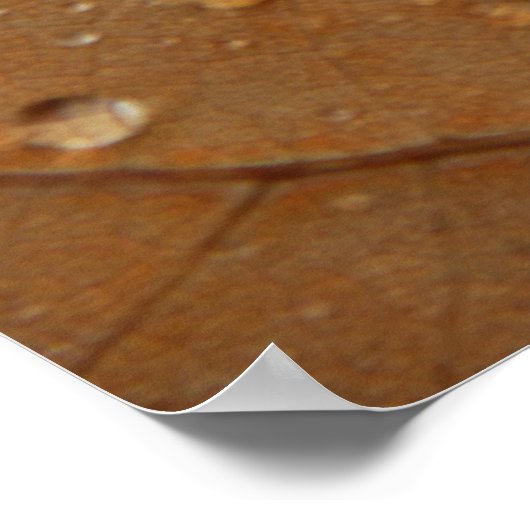 Autumn Framed Print (Hoek)