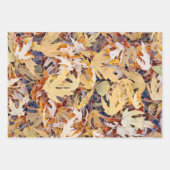 Autumn Geel Gepilde Maple Bladeren Inpakpapier Vel (Voorkant 2)