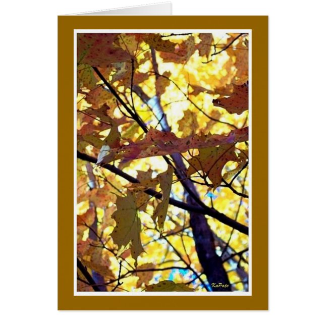 Autumn Golds (Voorkant)