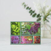 Autumn Grape Harvest Collage Briefkaart (Staand voorkant)