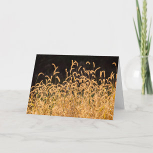 Autumn Grasses Kaart
