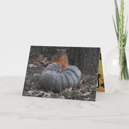 Autumn Greetings | Funny Squirrel Eating Pumpkin Kaart (Voorkant)