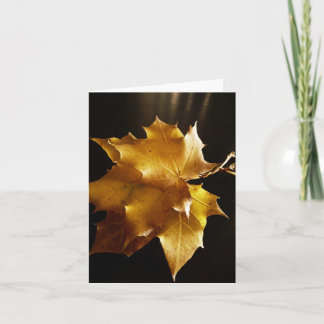 Autumn Greetings Kaart