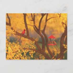 Autumn Guardian Briefkaart